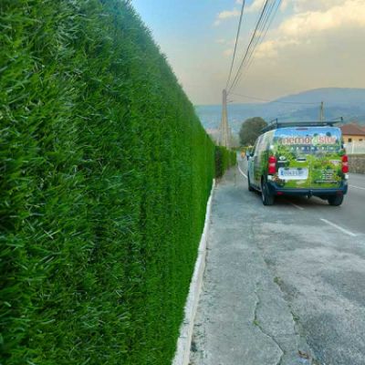 Cerramiento vegetal de finca junto a carretera